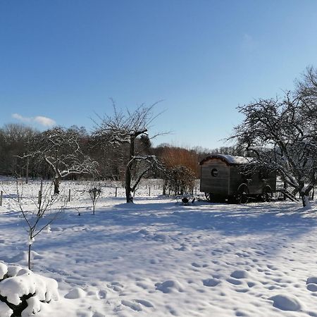 Roulotte Le Temps De Rever Bed & Breakfast Saint-Michel-sur-Meurthe Bagian luar foto