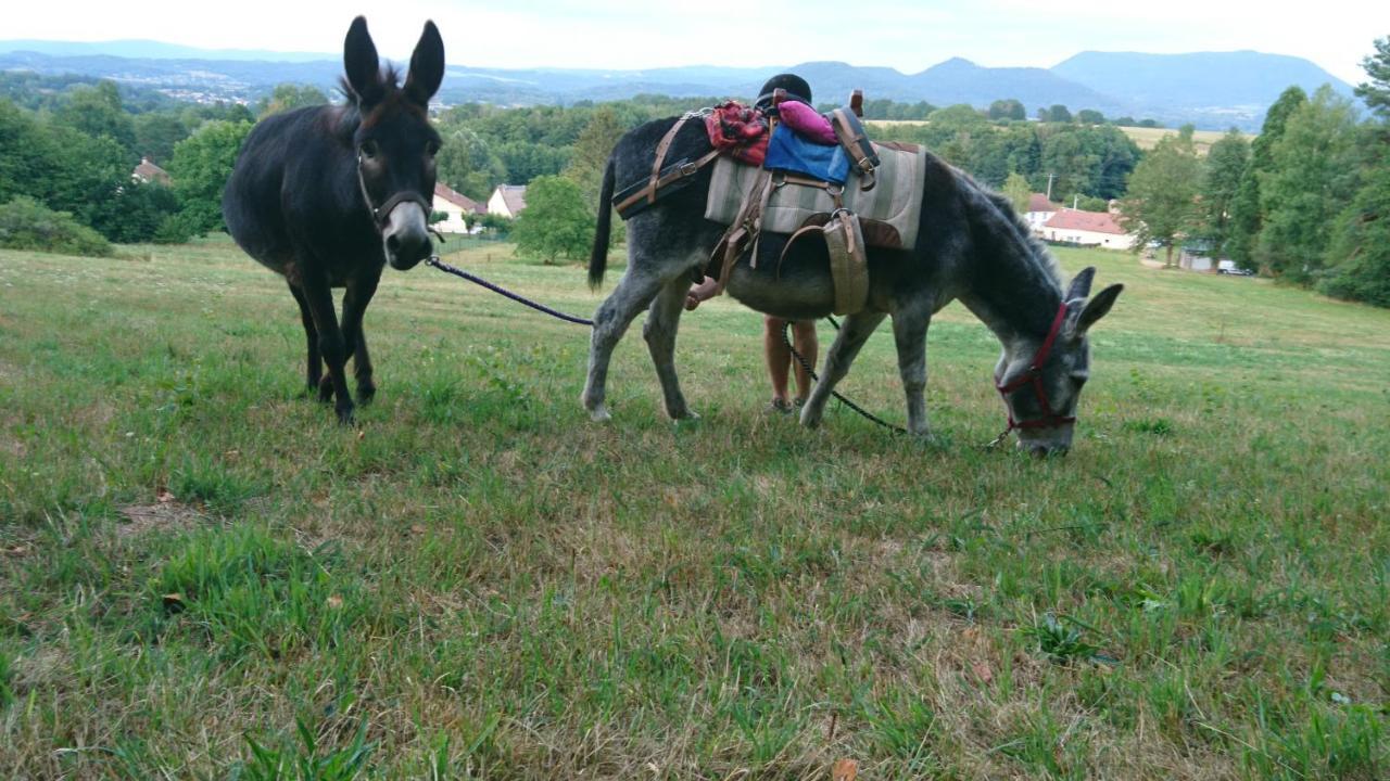 Roulotte Le Temps De Rever Bed & Breakfast Saint-Michel-sur-Meurthe Bagian luar foto