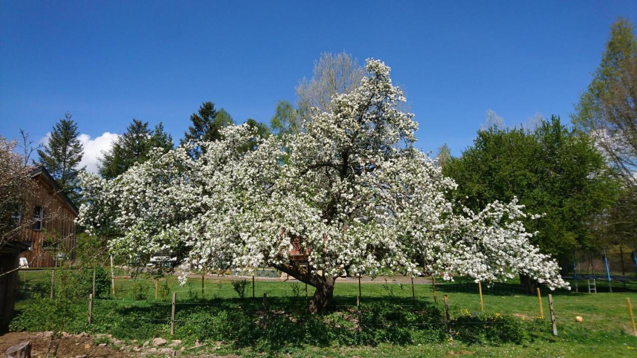 Roulotte Le Temps De Rever Bed & Breakfast Saint-Michel-sur-Meurthe Bagian luar foto