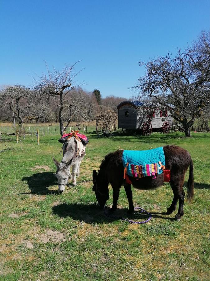 Roulotte Le Temps De Rever Bed & Breakfast Saint-Michel-sur-Meurthe Bagian luar foto