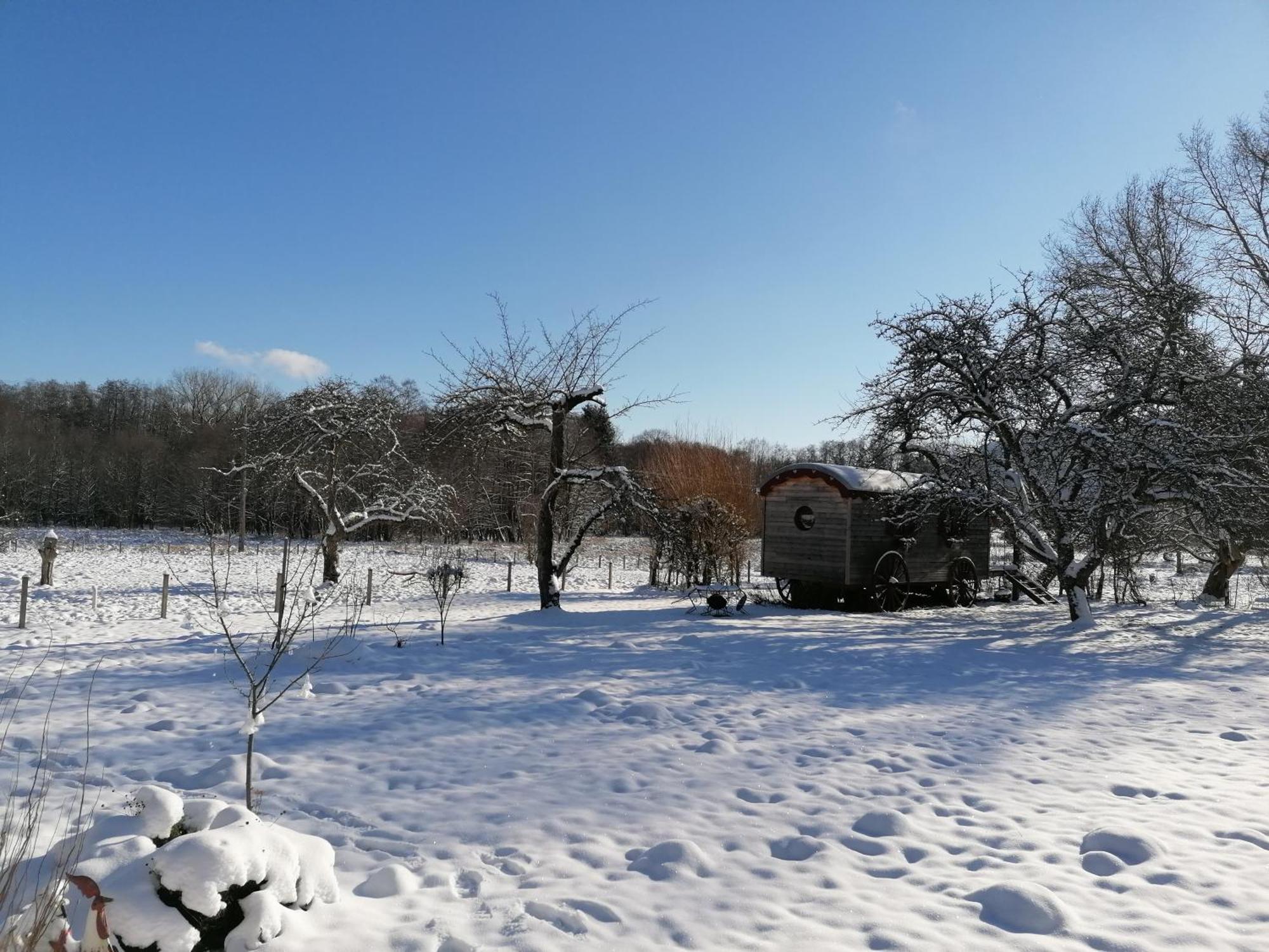 Roulotte Le Temps De Rever Bed & Breakfast Saint-Michel-sur-Meurthe Bagian luar foto